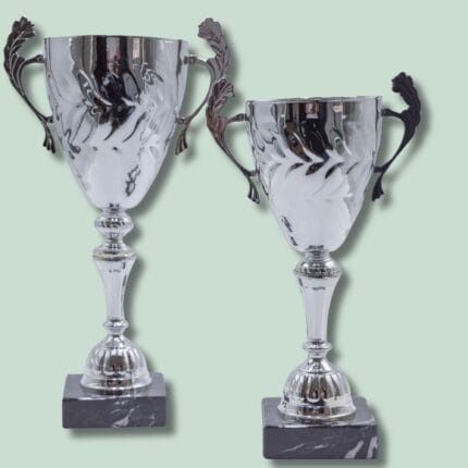 To sølvpokaler på grøn baggrund.