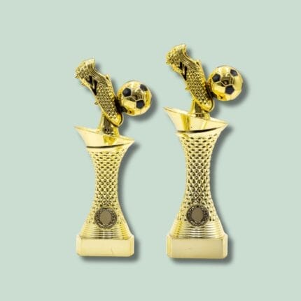 To gyldne fodboldpokaler på grøn baggrund.