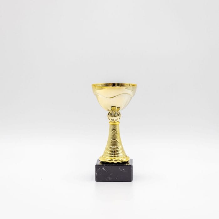 Vejle - Standard Pokal - Guld - Hjortlund & Bøgh Gravering - vejle4