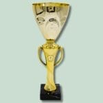 Gyldent trofæ på en grøn baggrund.