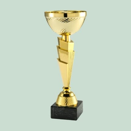Aalborg Standard Pokal